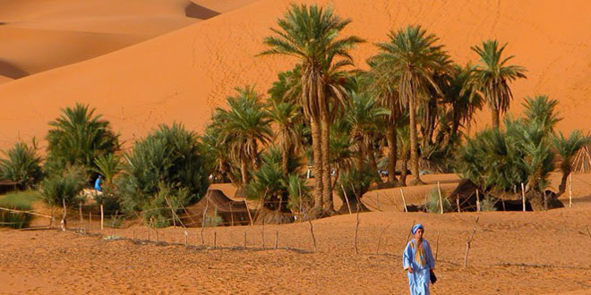Oasis Sahara Marocain