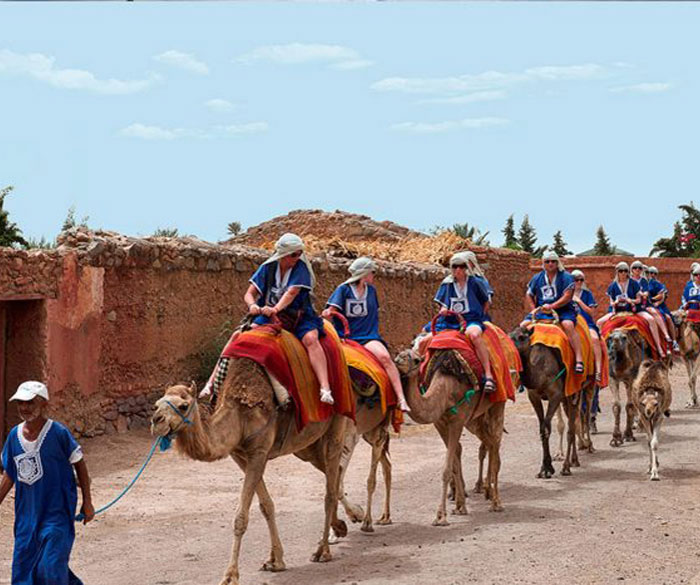 Balade chameau Marrakech